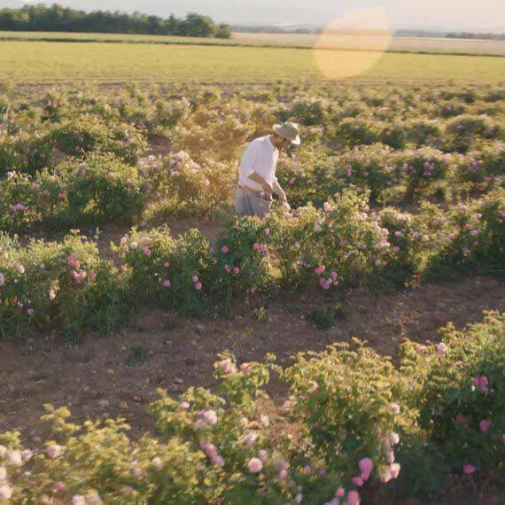 Lancome Absolue Preserving Biodiversity
