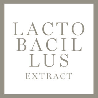 Lancome product ingredient Lactobacillus Extract