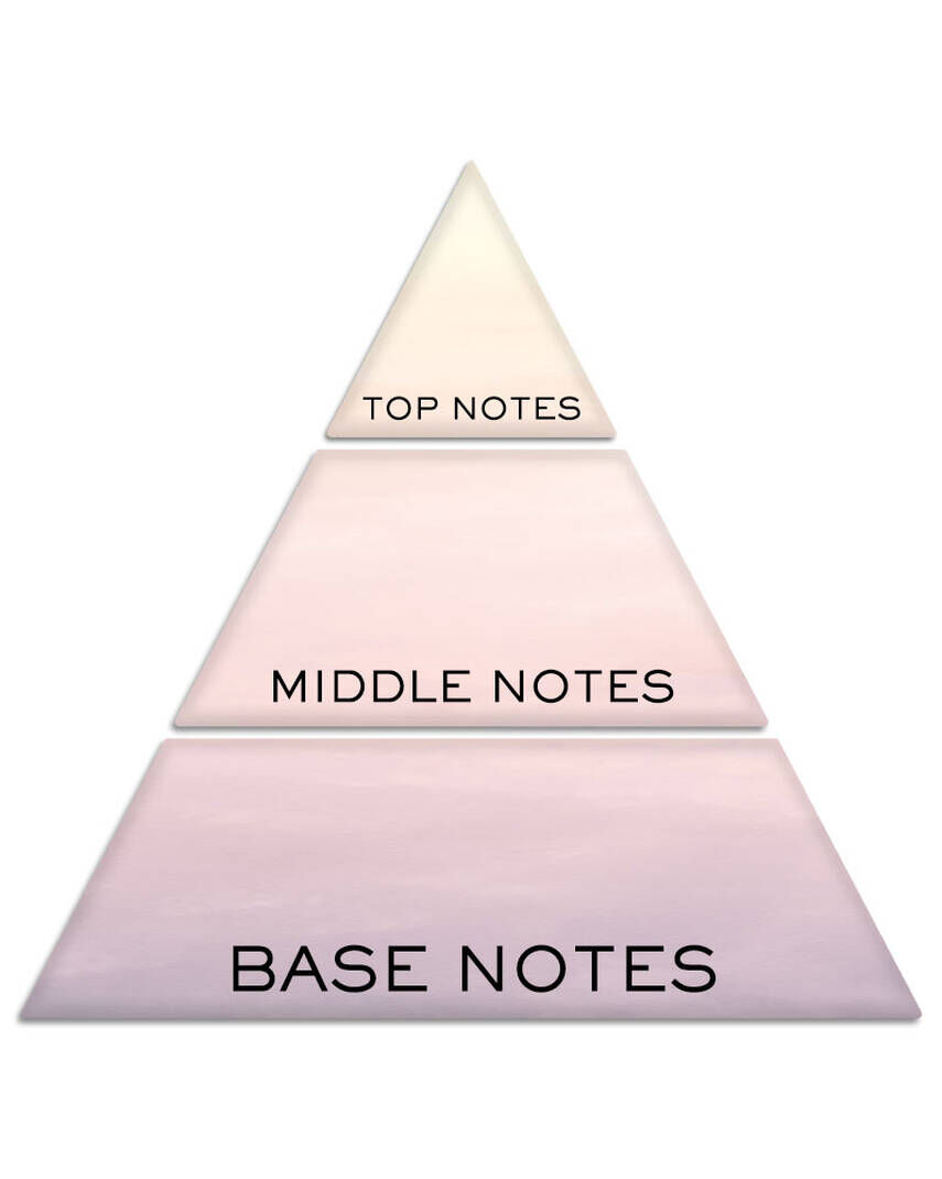 Top notes top perfume