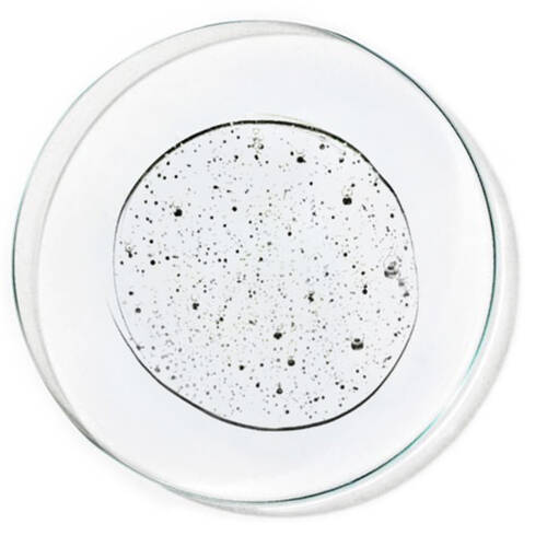 Salicylic Acid Skincare Ingredient